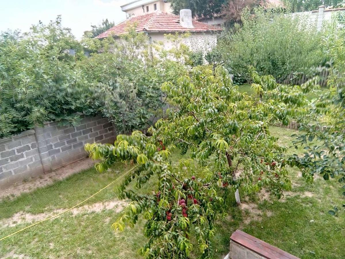 Alfa Guest Rooms With Parking Varna Bagian luar foto