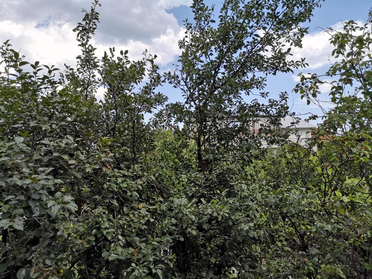Alfa Guest Rooms With Parking Varna Bagian luar foto